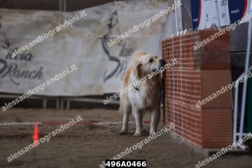496A0466.jpg