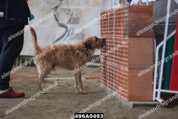496A0493.jpg