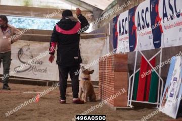 496A0500.jpg