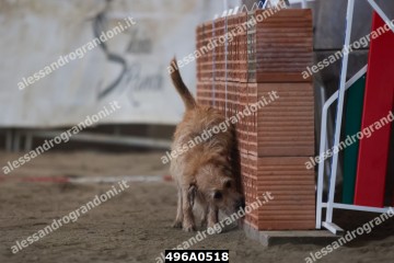 496A0518.jpg