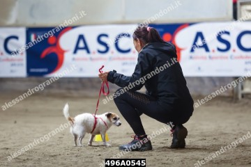 496A0545.jpg
