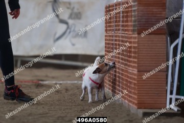 496A0580.jpg
