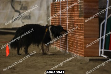 496A0941.jpg