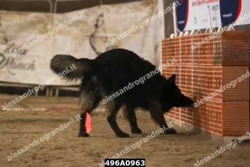496A0963.jpg