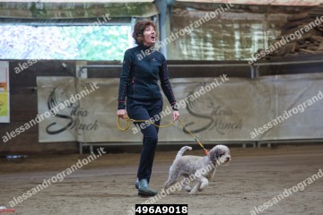 496A9018.jpg