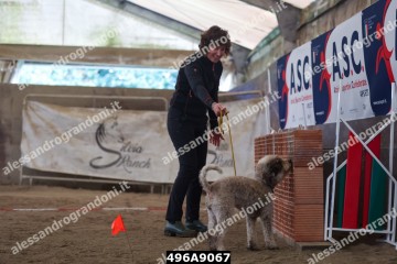 496A9067.jpg