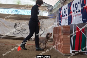 496A9083.jpg