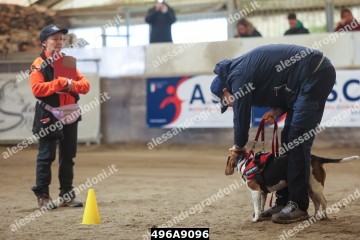 496A9096.jpg