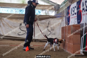 496A9151.jpg