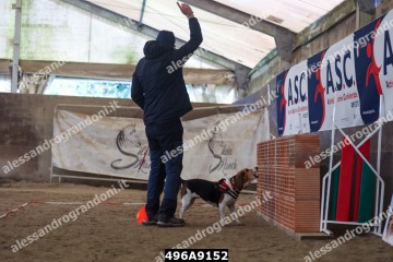 496A9152.jpg