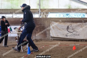 496A9159.jpg