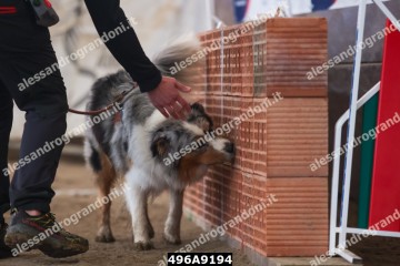 496A9194.jpg