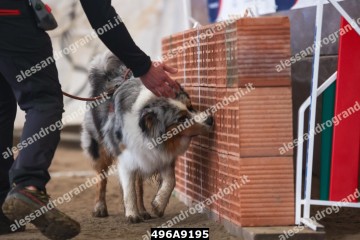 496A9195.jpg