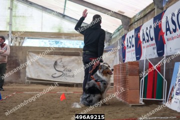 496A9215.jpg