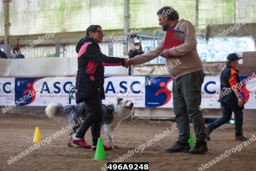 496A9248.jpg