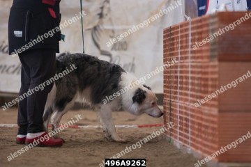 496A9262.jpg