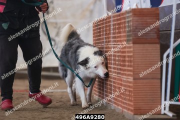 496A9280.jpg