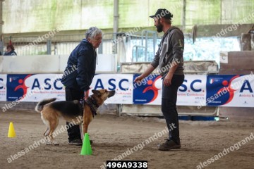 496A9338.jpg