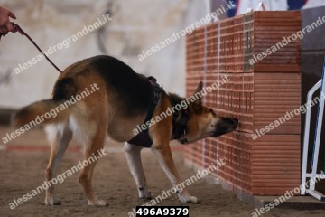 496A9379.jpg