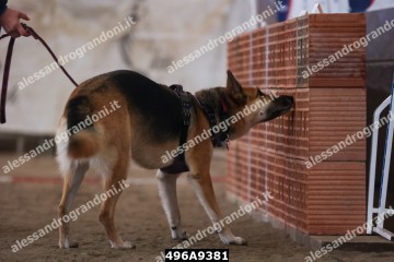 496A9381.jpg