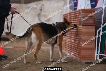 496A9383.jpg