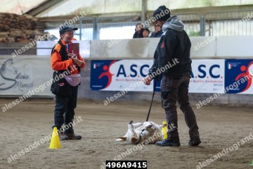 496A9415.jpg