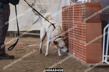 496A9458.jpg