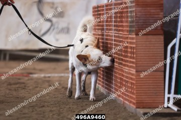 496A9460.jpg