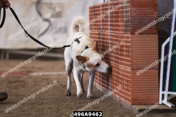 496A9462.jpg
