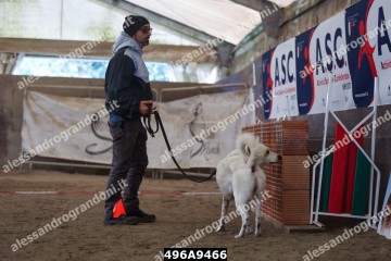 496A9466.jpg