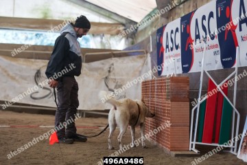 496A9486.jpg