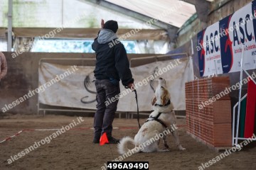 496A9490.jpg
