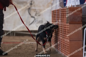 496A9535.jpg
