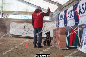 496A9555.jpg