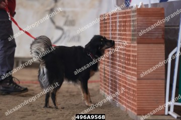 496A9568.jpg