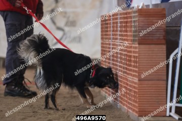 496A9570.jpg