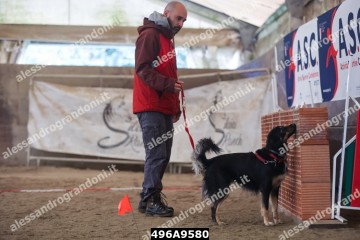 496A9580.jpg