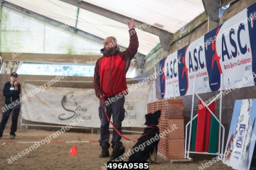 496A9585.jpg