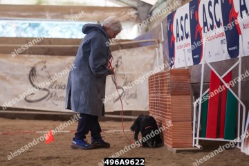 496A9622.jpg