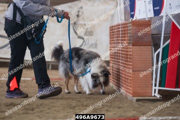 496A9673.jpg
