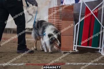 496A9677.jpg