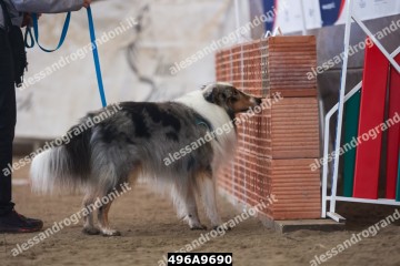 496A9690.jpg