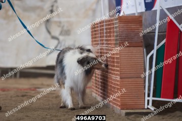 496A9703.jpg
