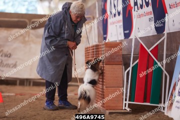 496A9745.jpg