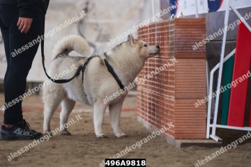 496A9818.jpg