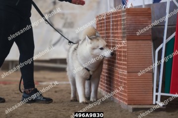 496A9830.jpg