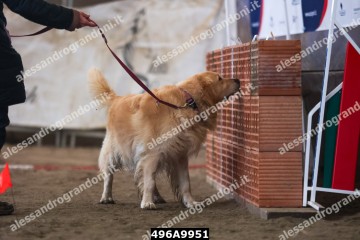 496A9951.jpg