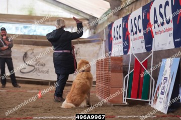 496A9967.jpg