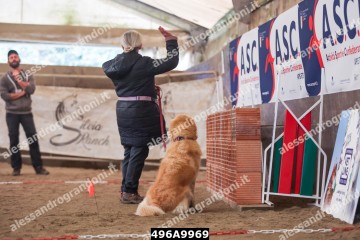 496A9969.jpg