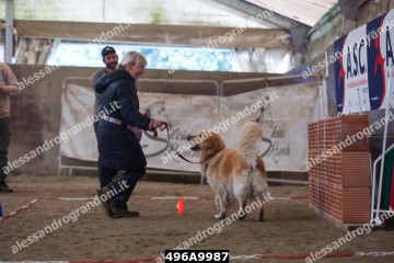 496A9987.jpg